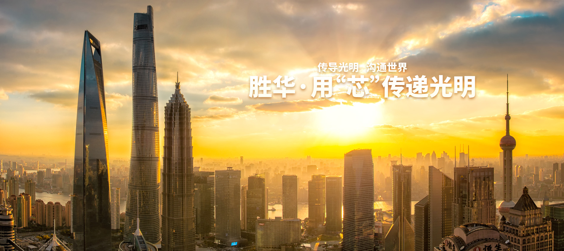 上海胜华,胜华电缆,江铜胜华