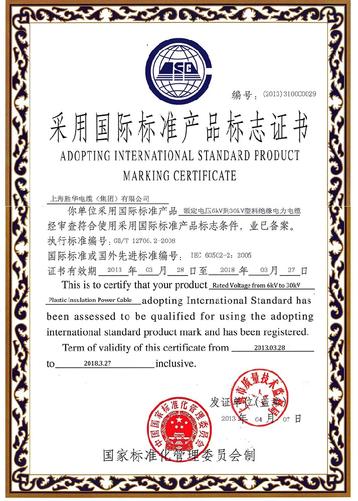 国际标准证书2